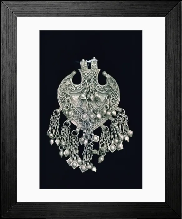 Framed Print : Sargul hair ornament Framed Print : Sargul hair ornament