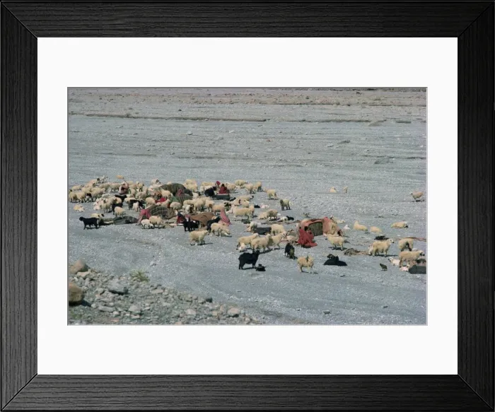 Framed Print : Baluchi nomads Framed Print : Baluchi nomads