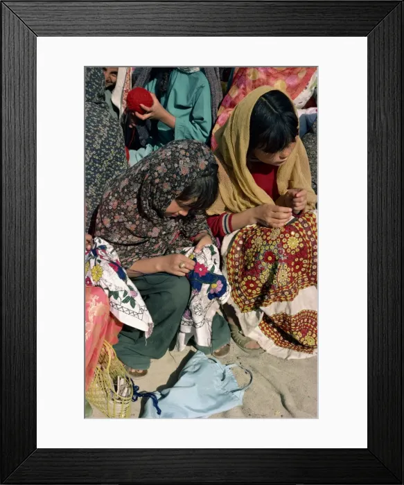 Framed Print : School for embroidery Framed Print : School for embroidery