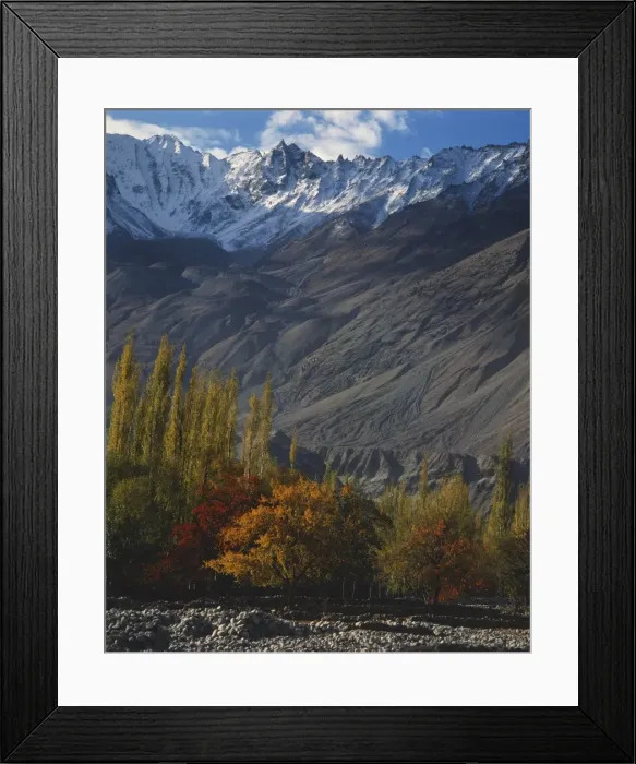 Framed Print : Trees in autumn colours and mountains at Khaplu in Baltistan Framed Print : Trees in autumn colours and mountains at Khaplu in Baltistan
