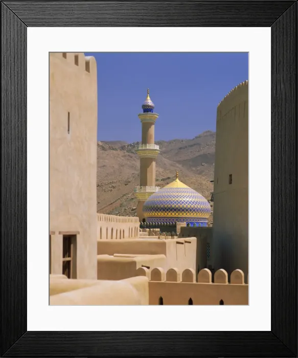 Framed Print : Mosque from the Fort Framed Print : Mosque from the Fort