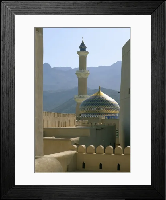 Framed Print : The mosque seen from the fort Framed Print : The mosque seen from the fort