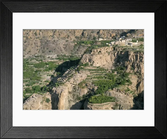 Framed Print : Village of Al Ain