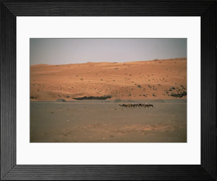 Framed Print : Bedouins and camels in the desert Framed Print : Bedouins and camels in the desert