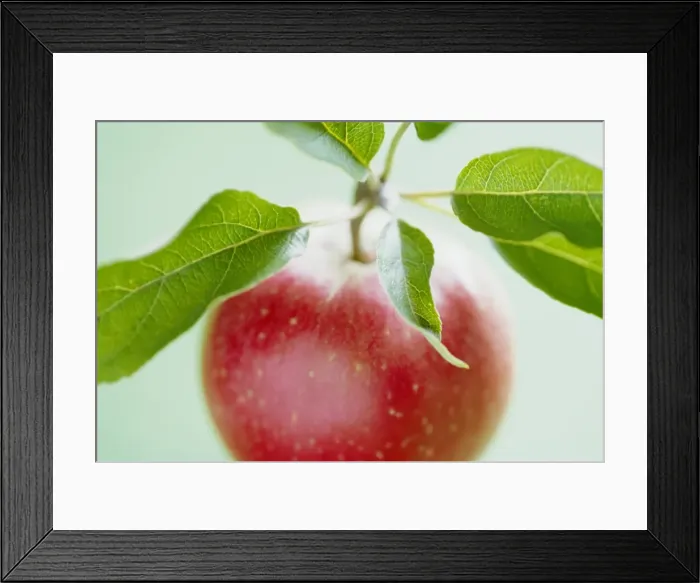 Framed Print : Close-up of ripe apple with leaves Framed Print : Close-up of ripe apple with leaves
