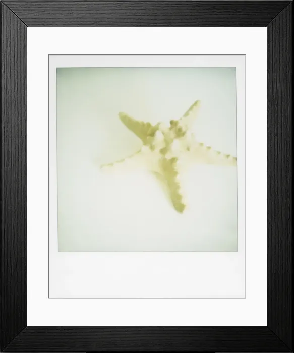 Framed Print : Polaroid of starfish on white background