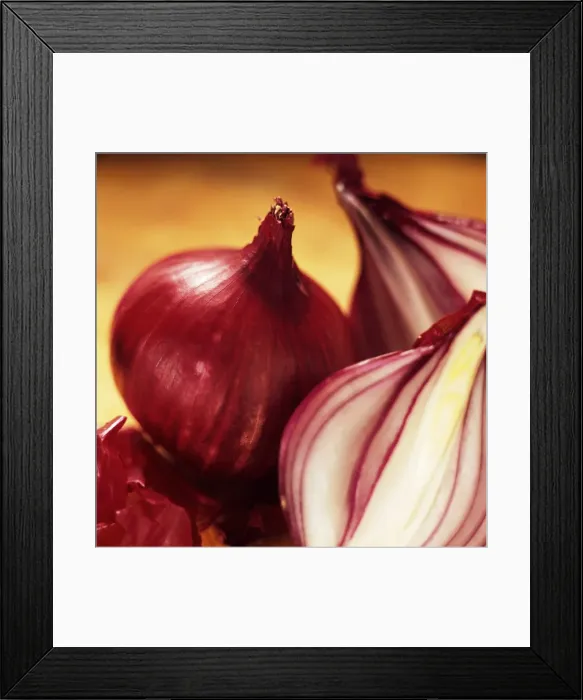 Framed Print : Studio shot of red onions Framed Print : Studio shot of red onions