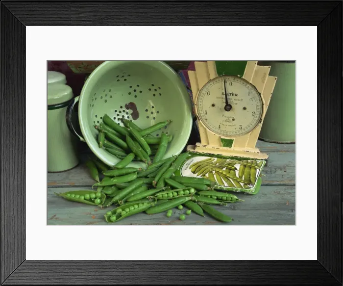 Framed Print : Close-up of still life of fresh garden peas in an old Framed Print : Close-up of still life of fresh garden peas in an old