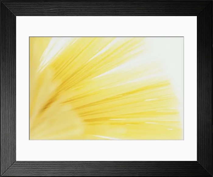 Framed Print : Studio shot of spaghetti Framed Print : Studio shot of spaghetti