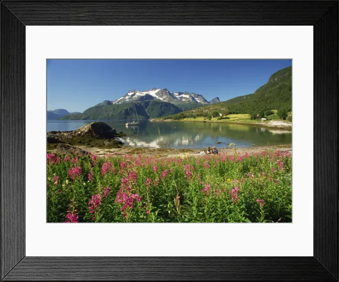 Framed Print : Willowherb beside lake and boat at anchor