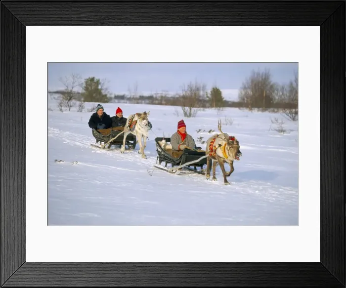 Framed Print : Southern Lapp man with reindeer sledge Framed Print : Southern Lapp man with reindeer sledge