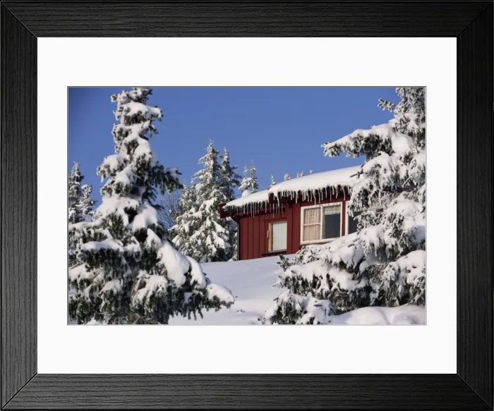 Framed Print : Snow covered trees and house Framed Print : Snow covered trees and house
