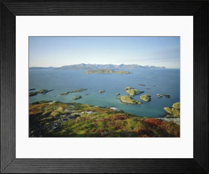 Framed Print : Autumnal bloom Framed Print : Autumnal bloom