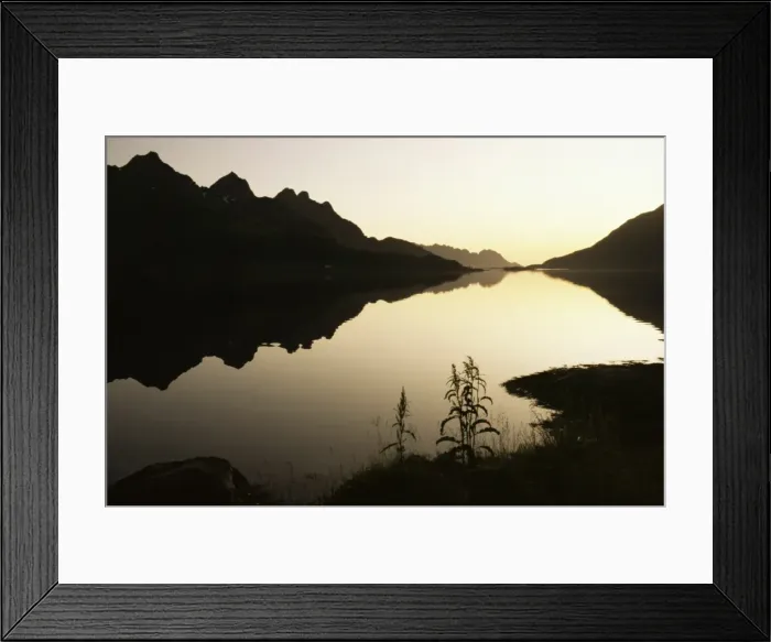 Framed Print : Midnight sun and calm reflections Framed Print : Midnight sun and calm reflections