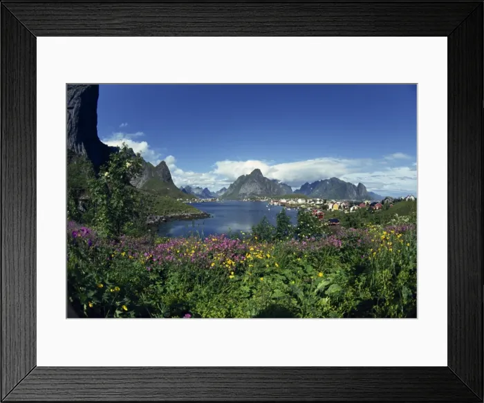 Framed Print : Reine Lofoten in summer Framed Print : Reine Lofoten in summer