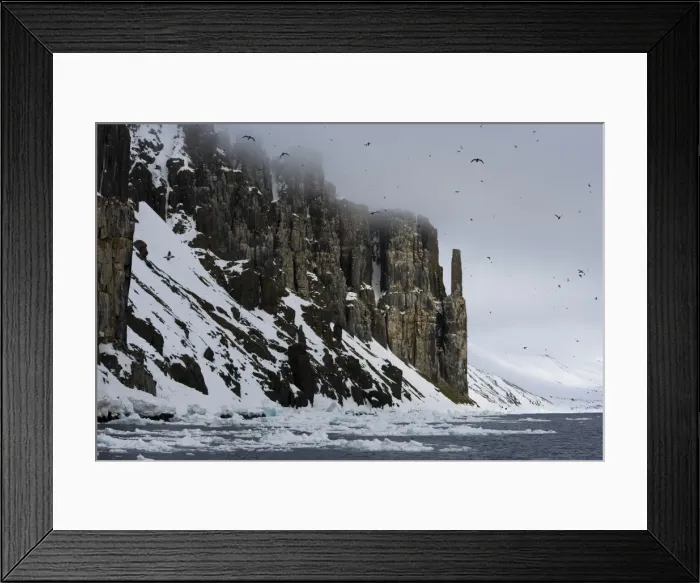 Framed Print : Bird Cliff Framed Print : Bird Cliff