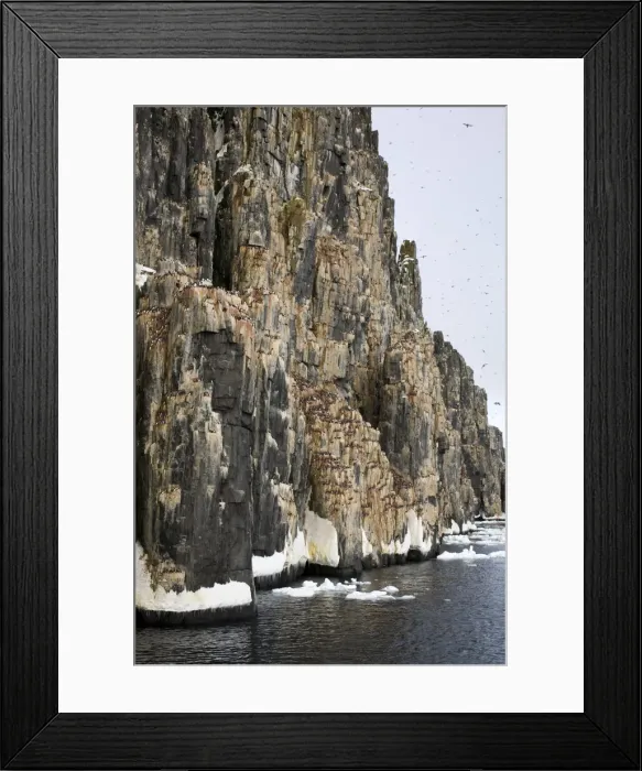 Framed Print : Bird Cliff Framed Print : Bird Cliff