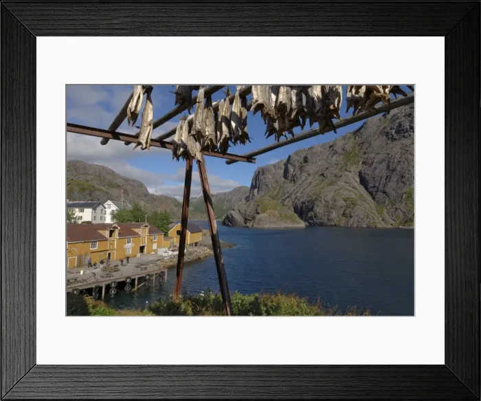 Framed Print : Cod drying Framed Print : Cod drying