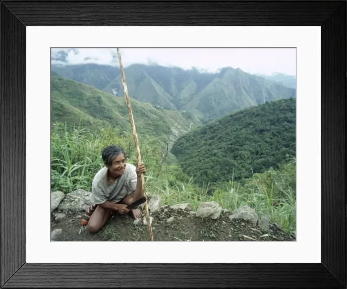 Framed Print : Ifagao Indian rice paddy worker Framed Print : Ifagao Indian rice paddy worker