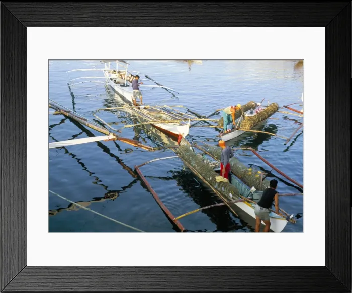 Framed Print : Outriggers Framed Print : Outriggers