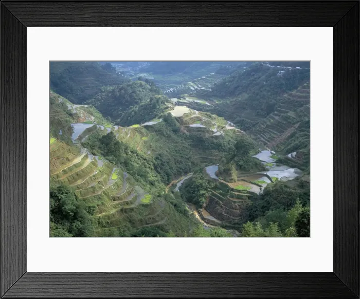 Framed Print : Banaue terraced rice fields Framed Print : Banaue terraced rice fields