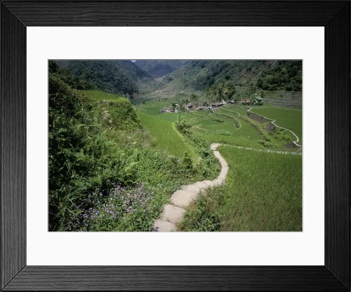 Framed Print : Path through fields leading to the Ifugao village of Banga-An Framed Print : Path through fields leading to the Ifugao village of Banga-An