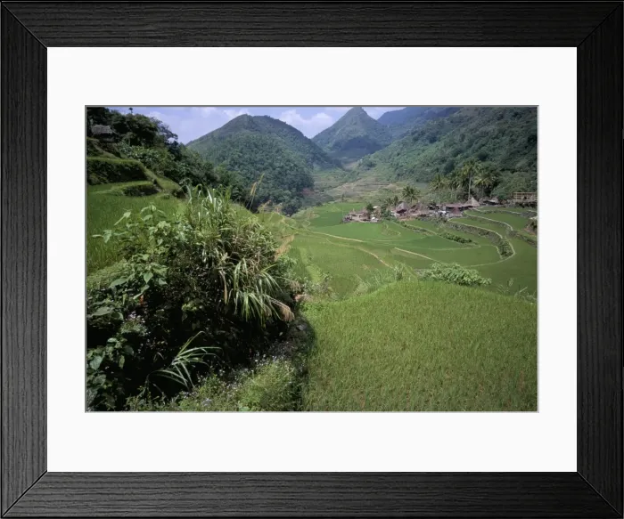 Framed Print : Rice fields near the Ifugao village of Banga-An Framed Print : Rice fields near the Ifugao village of Banga-An