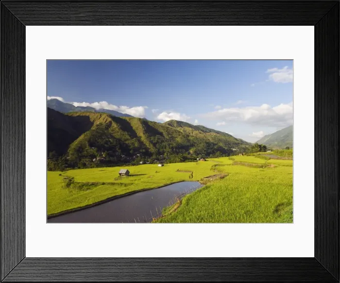 Framed Print : Rice terraces in Luplula Village Framed Print : Rice terraces in Luplula Village
