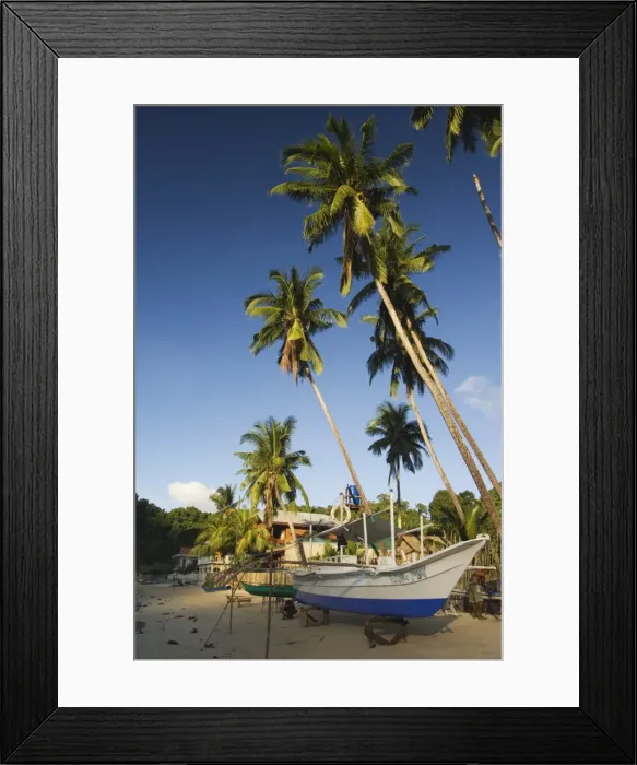 Framed Print : Fishing boat on beach and palm trees Framed Print : Fishing boat on beach and palm trees