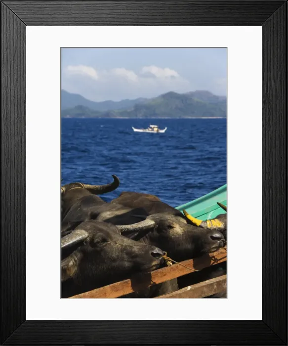 Framed Print : Cargo and passenger ferry from El Nido to Coron Town Framed Print : Cargo and passenger ferry from El Nido to Coron Town