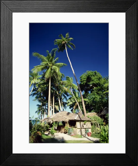 Framed Print : Palm trees and bar on holiday island of Boracay Framed Print : Palm trees and bar on holiday island of Boracay