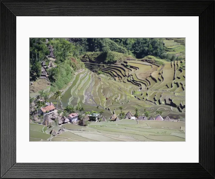 Framed Print : Spectacular amphitheatre of rice terraces around Framed Print : Spectacular amphitheatre of rice terraces around