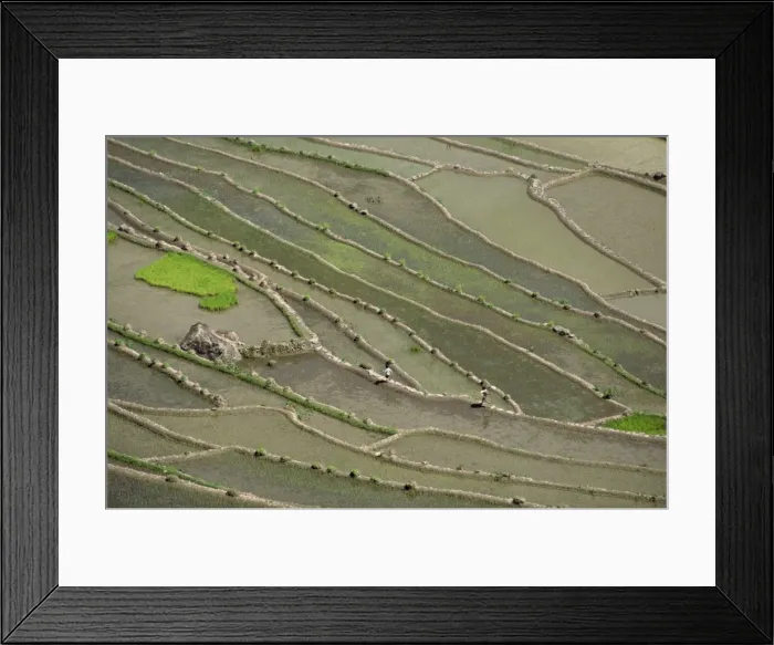 Framed Print : Aerial of the rice terraces around the village of Batad Framed Print : Aerial of the rice terraces around the village of Batad