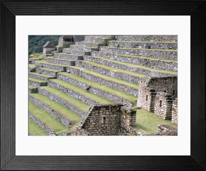 Framed Print : Agricultural terraces in ruins of Inca site Framed Print : Agricultural terraces in ruins of Inca site