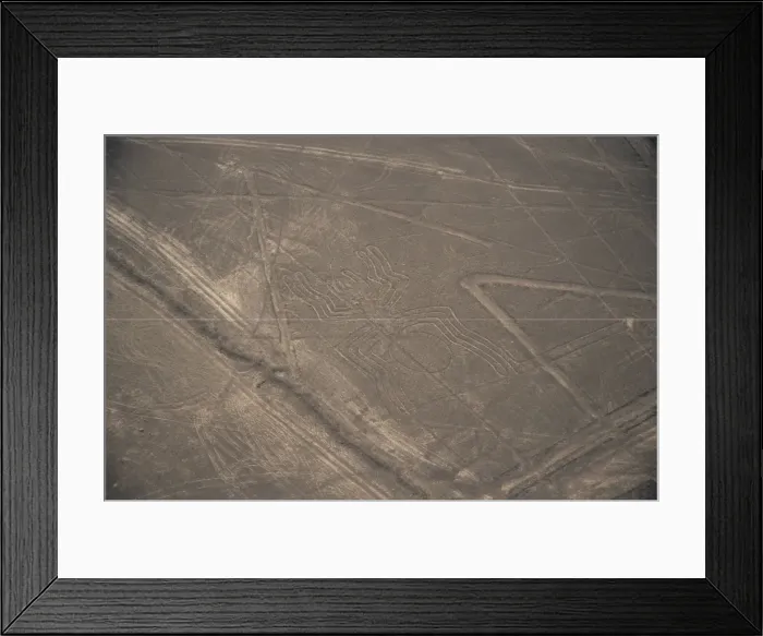 Framed Print : Spider, Nazca (Nasca) Lines Framed Print : Spider, Nazca (Nasca) Lines