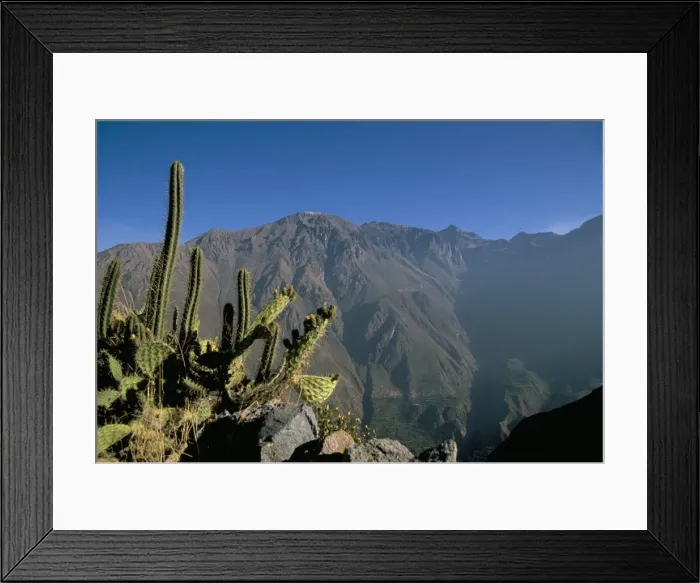 Framed Print : Colca Canyon