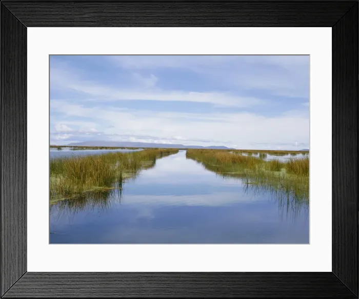 Framed Print : Reed Islands Framed Print : Reed Islands