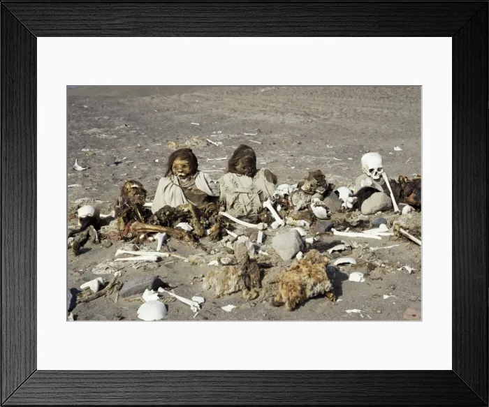 Framed Print : Human remains preserved over 500 years Framed Print : Human remains preserved over 500 years