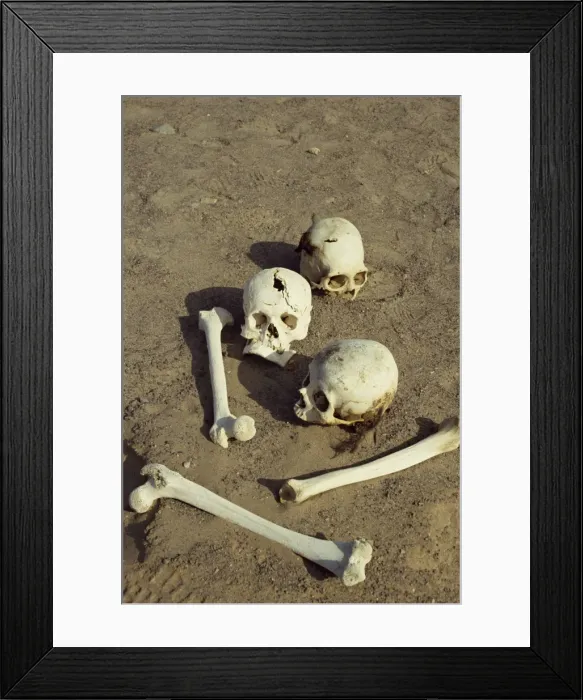 Framed Print : Human remains preserved over 500 years at the Chauchilla Framed Print : Human remains preserved over 500 years at the Chauchilla