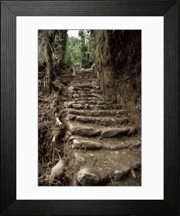 Framed Print : Steps on the Inca Trail