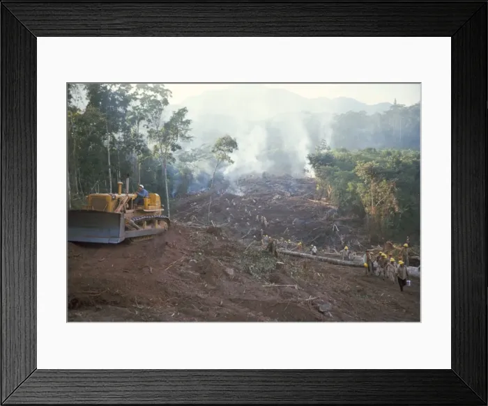 Framed Print : Clearing forest for building of the Forest Edge highway Framed Print : Clearing forest for building of the Forest Edge highway