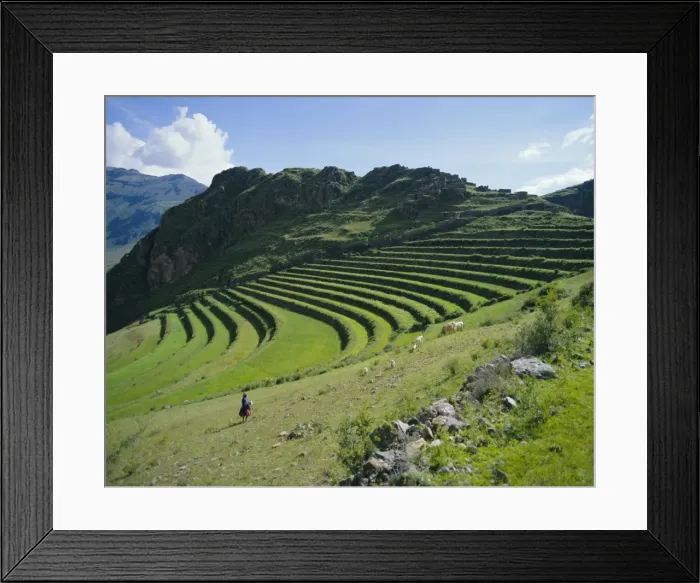 Framed Print : Inca terrace still in use
