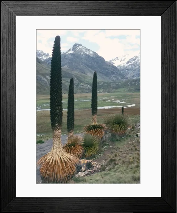 Framed Print : Catac National Park Framed Print : Catac National Park