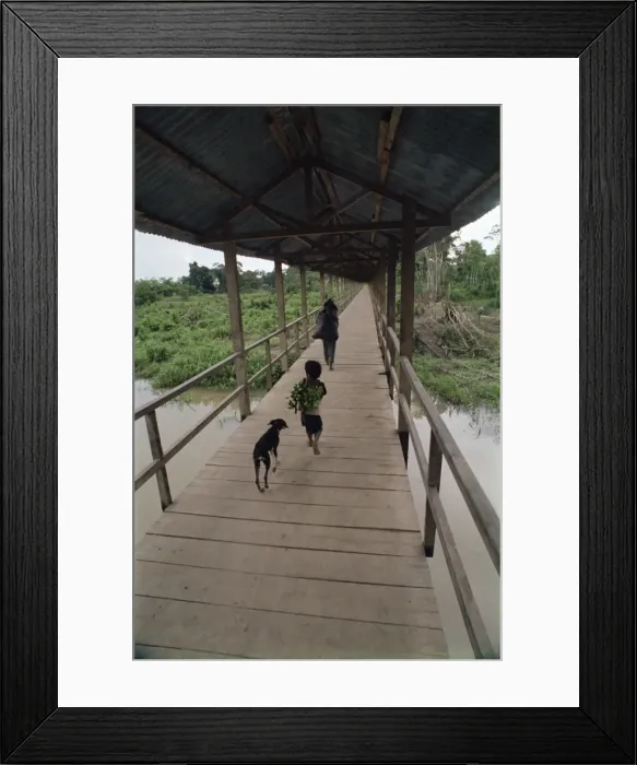 Framed Print : Dog follows boy carrying bananas in small community outside Iquitos Framed Print : Dog follows boy carrying bananas in small community outside Iquitos