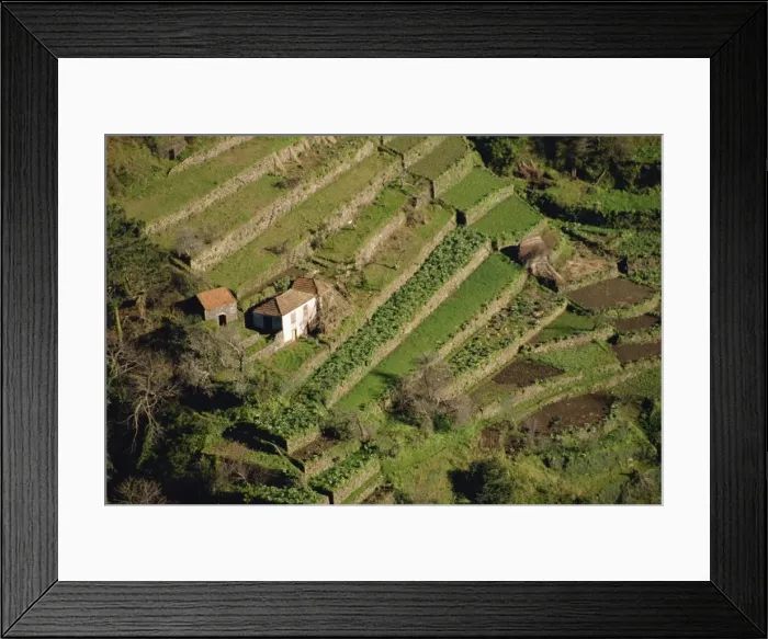 Framed Print : Terraced fields