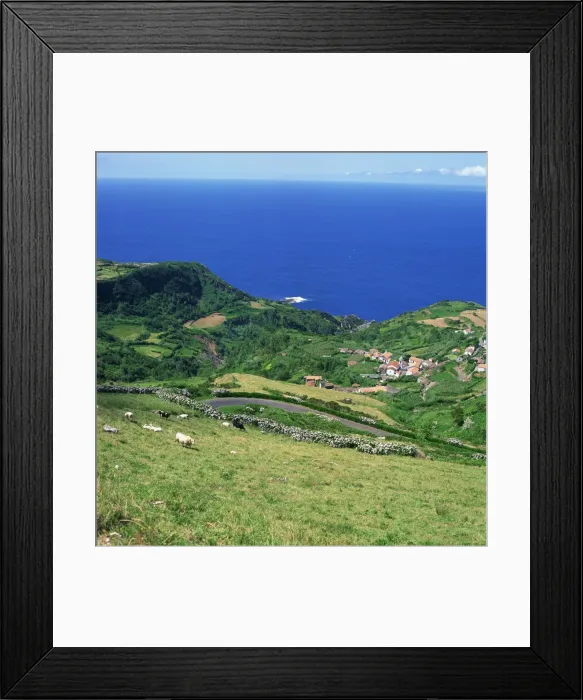 Framed Print : Cattle, fields and small village on the island of Flores Framed Print : Cattle, fields and small village on the island of Flores