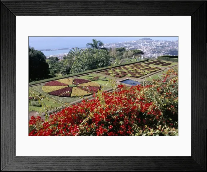 Framed Print : Jardim Botanico (Botanical Gardens)