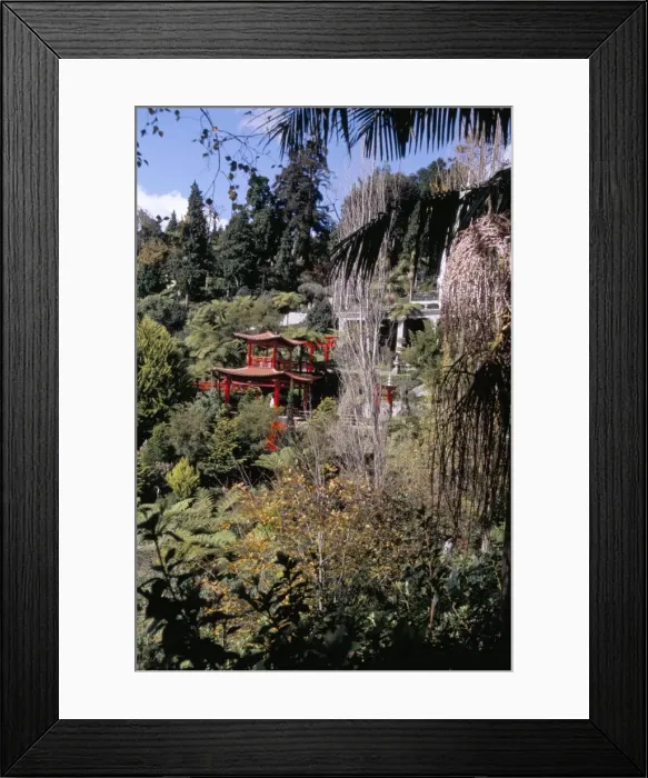 Framed Print : View to Japanese Garden Framed Print : View to Japanese Garden