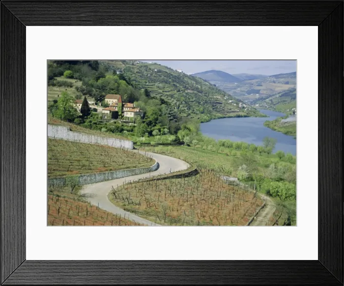 Framed Print : Douro Valley
