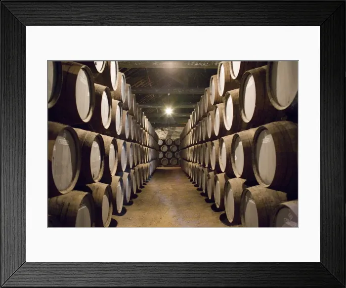 Framed Print : Traditional port barrels in which tawny port is maturing